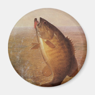 Aimant Sports vintages Pêche, Poisson Brown à grande bouc