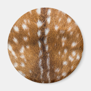 Aimant Spotted deer pour texture