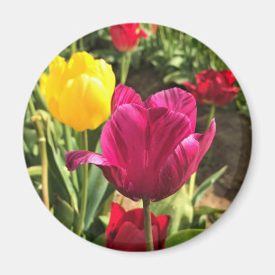 Aimant Spring tulips, Oregon