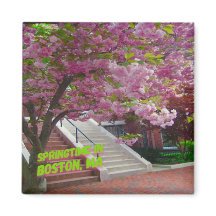 Springtime à Boston, MA