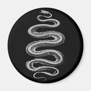 Aimant Squelette de serpent coulissant