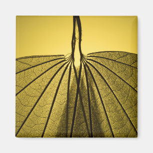 Aimant Squelette feuille