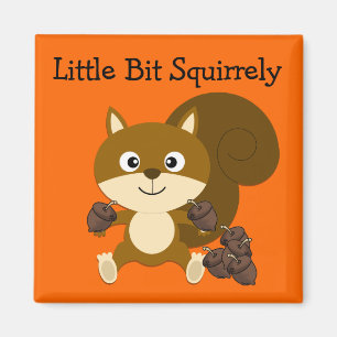 Aimant Squily
