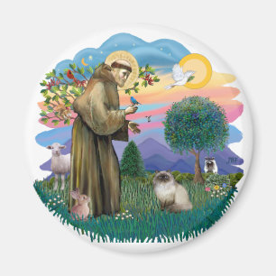Aimant St Francis (ff) - Chat himalayen Seal Point