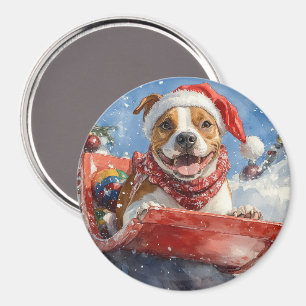 Aimant Staffordshire américain dans un traîneau de Noël