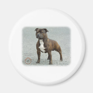 Aimant Staffordshire Bull Terrier