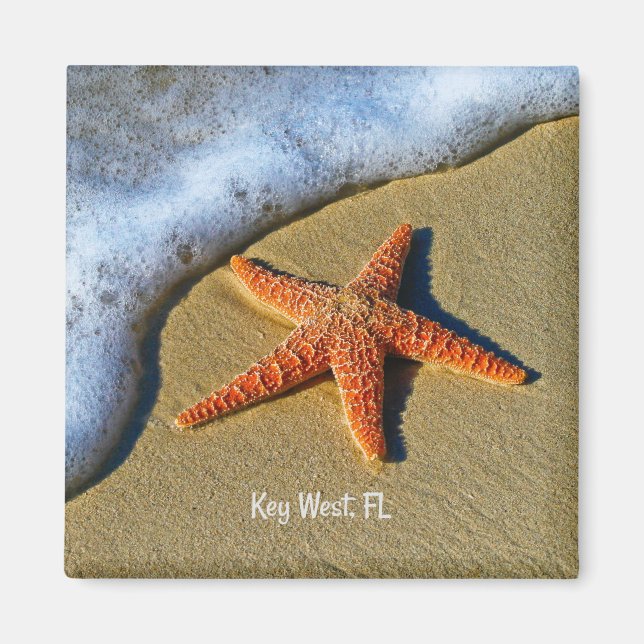 Aimant Starfish, à la plage de Key West, Floride, (Devant)