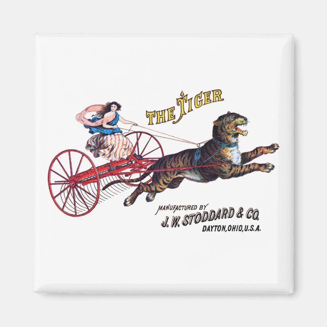 Aimant Stoddard Tiger (Devant)