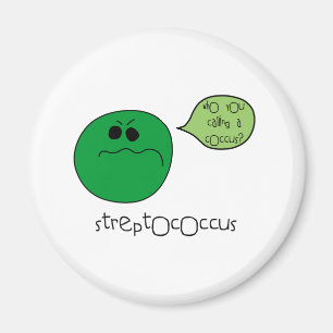Aimant Streptocoque