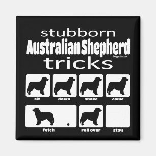 Aimant Stubborn Australian Shepherd Tricks