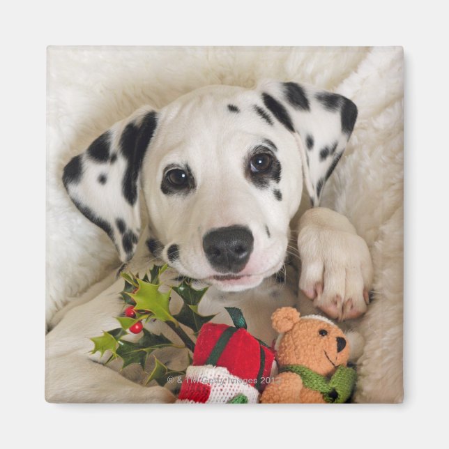 Aimant studio (Devant)