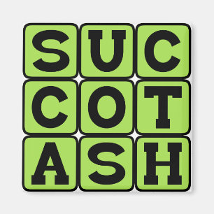 Aimant Succotash, Insufferable Corn & Lima Bean Dish