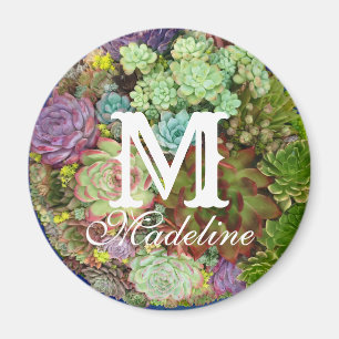 Aimant Succulents dans le planteur