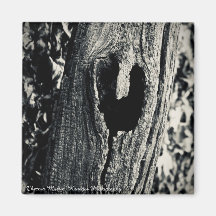 Aimant "Suivez votre coeur"