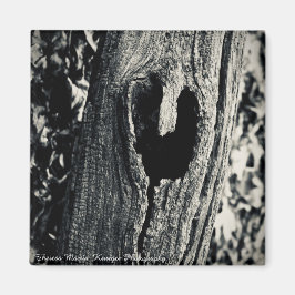 Aimant "Suivez votre coeur"