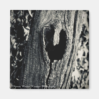 Aimant "Suivez votre coeur"