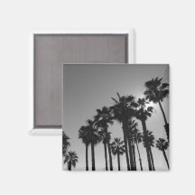 Summer Ocean Palms Photographie noir et blanc