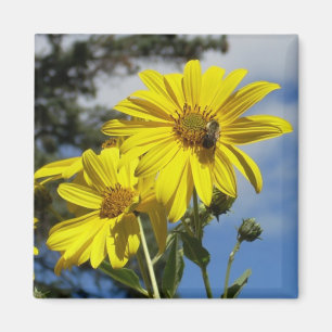 Aimant sunfleernbumblebee