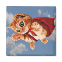 Super Kitty