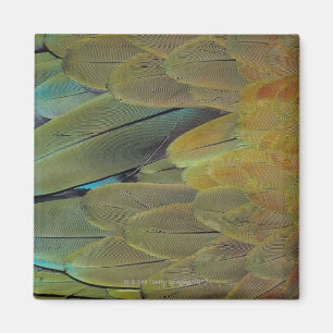 Aimant Surface de la plume