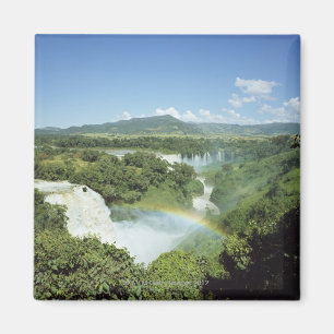 Aimant Surplombant les chutes pittoresques d'Iguazu en Am