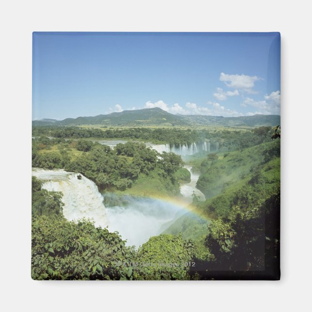 Aimant Surplombant les chutes pittoresques d'Iguazu en Am (Devant)