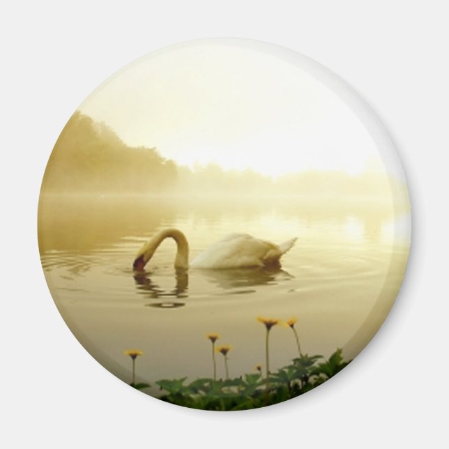 Aimant Swan (Devant)