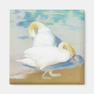 AIMANT SWANS