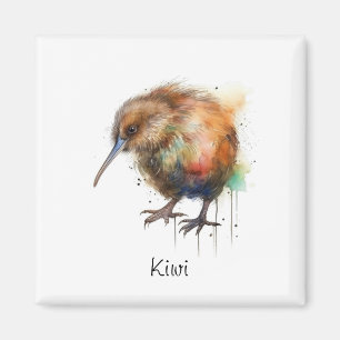 Aimant Sweet Kiwi, coutume