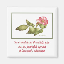 Aimant Symbole de fleur d'aquarelle rose rose sauvage