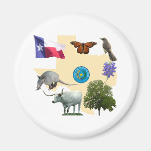 Aimant Symboles d'état du Texas