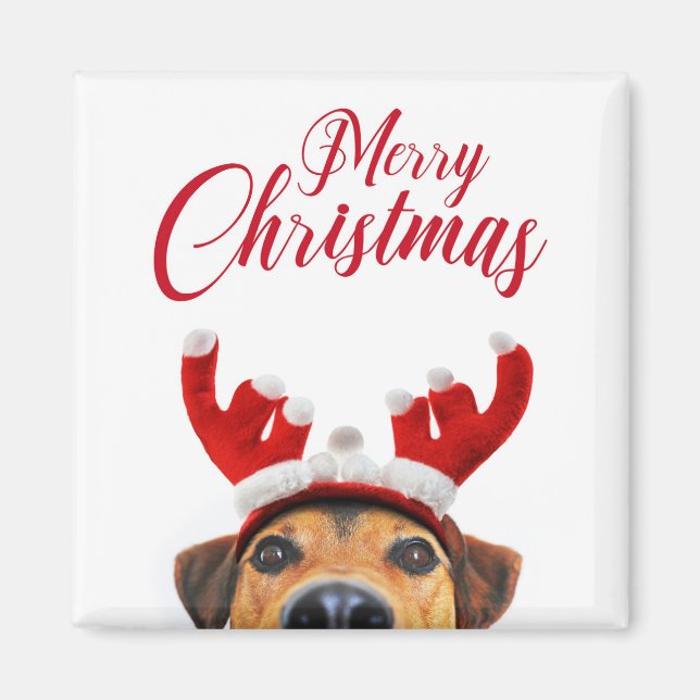 Aimant Sympa Christmas Chien Reindeer Antler Headband (Devant)