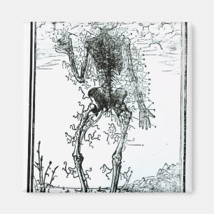 Aimant Système vasculaire du corps