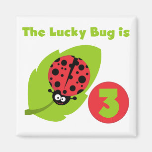 Aimant T-shirts et cadeaux 3e anniversaire Lucky Bug