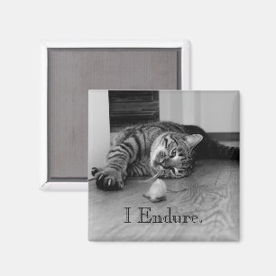Aimant Tabby Cat Étendu, Toy Mouse, J'Endure