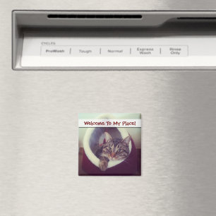 Aimant Tabby Kitty Dans La Cabine Photo De Gros Plan