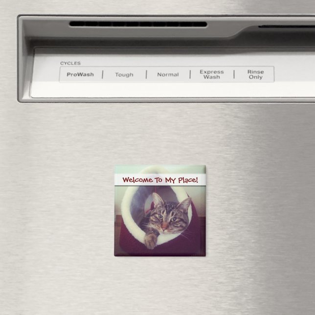 Aimant Tabby Kitty Dans La Cabine Photo De Gros Plan (In Situ (Lave-vaisselle))