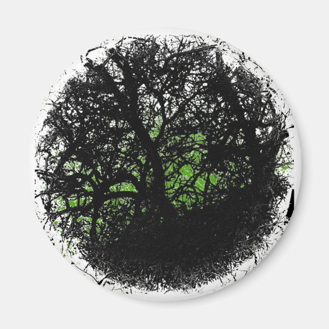 Aimant Tanglewood (Devant)