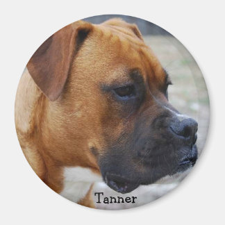 Aimant Tanner