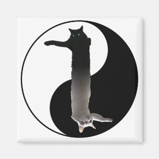 Aimant Tao de Longcat