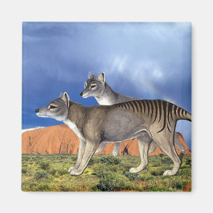 Aimant tasmanien de tigre