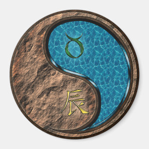 Aimant Taureau & Dragon d'eau