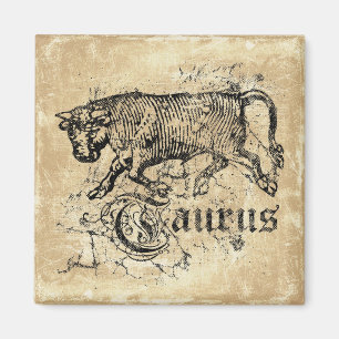 Aimant Taurus zodiaque vintage