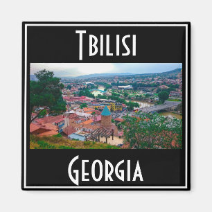 Aimant Tbilisi Georgia City View Architecture du paysage