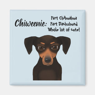 Aimant Teckel mignon de chiwawa d'appréciation de