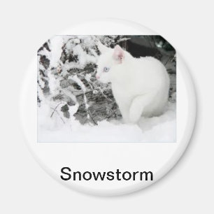 Aimant Tempête de neige