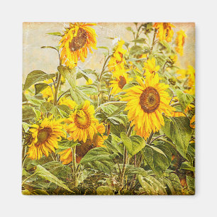 Aimant Terrain de tournesol Vintage Pays rustique jaune j