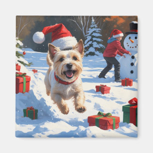 Aimant Terrier Cairn courant dans la neige avec un chapea