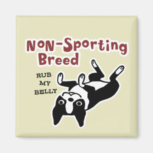 Aimant Terrier de Boston "Race non sportive"