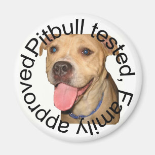 Aimant testé par Pitbull